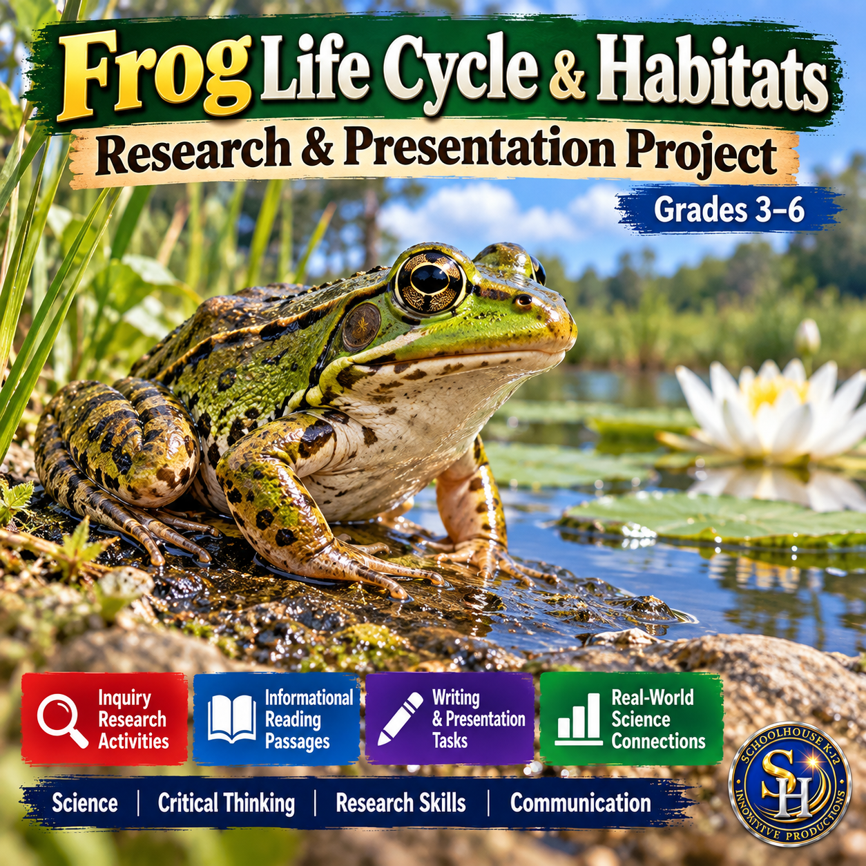 Frog Life Cycle & Amphibian Habitats Research & Presentation Project cover, Grades 3–6